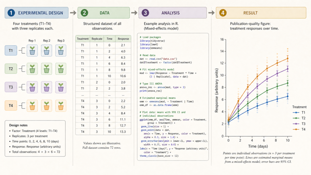 Scientific data analysis workflow showing experimental design, structured research data, R or Python code, and a publication-ready statistical figure.